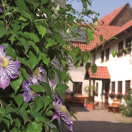 Pension Gästehaus Kachelofa Vaihingen an der Enz Exterior foto